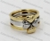 Three-in-one Clover Ring KJR050246