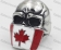 316 Steel Canadian Flag Skull Ring KJR350798