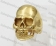 Gold Steel Skull Ring KJR350554