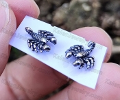 Scorpion Ear Studs KJEA00005SZRS