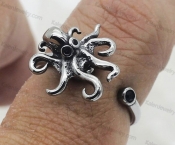 steel ring, rotates like a top KJR69-0133