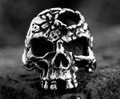 skull ring KJR118-0168