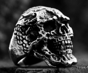 skull ring KJR118-0176